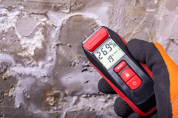 Best Residential Mold Remediation in Park Forest, IL