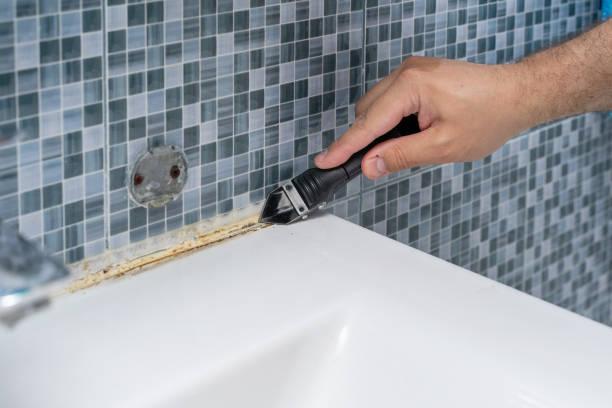 Professional Mold Remediation in Park Forest, IL