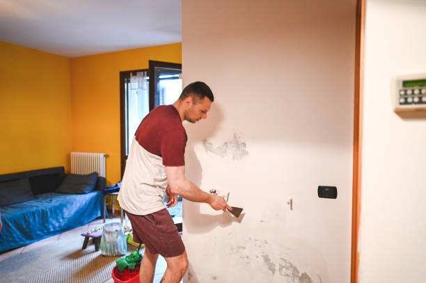 Best Basement Mold Remediation in Park Forest, IL